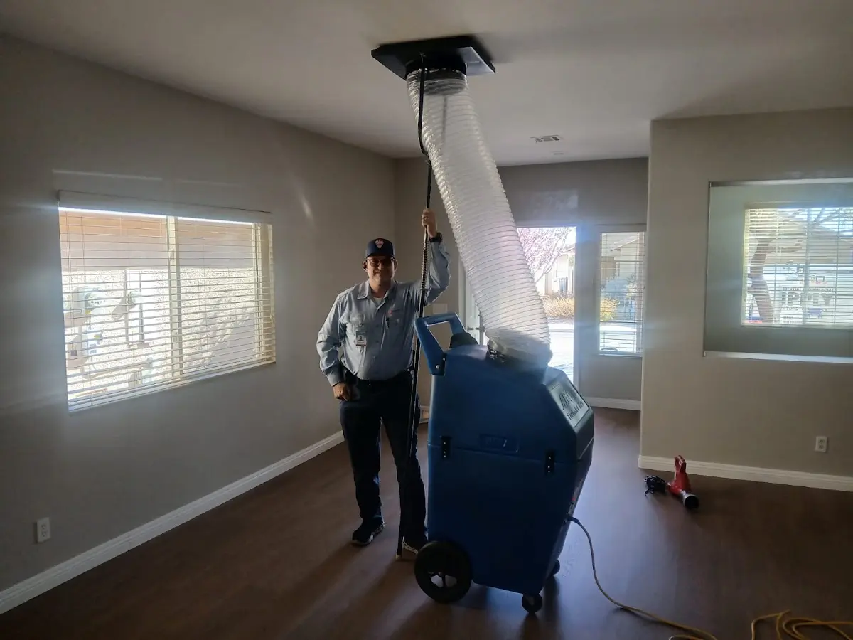 Professional Dryer Vent Cleaning work inside a Wellesley home